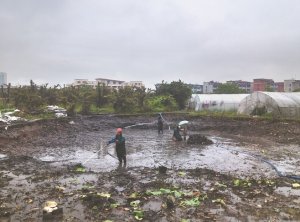 爱民河道鱼塘清淤
